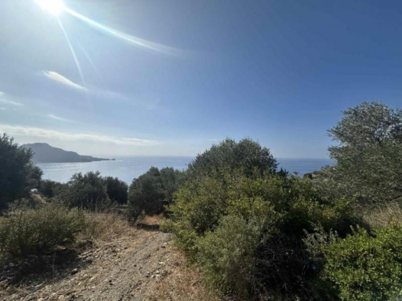 Sellia bei Plakias Kreta, Sellia: Erstklassiges Grundstück mit Meerblick in der Nähe von Plakias zu verkaufen Grundstück kaufen